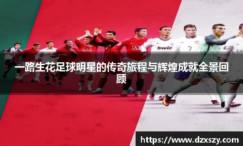 一路生花足球明星的传奇旅程与辉煌成就全景回顾